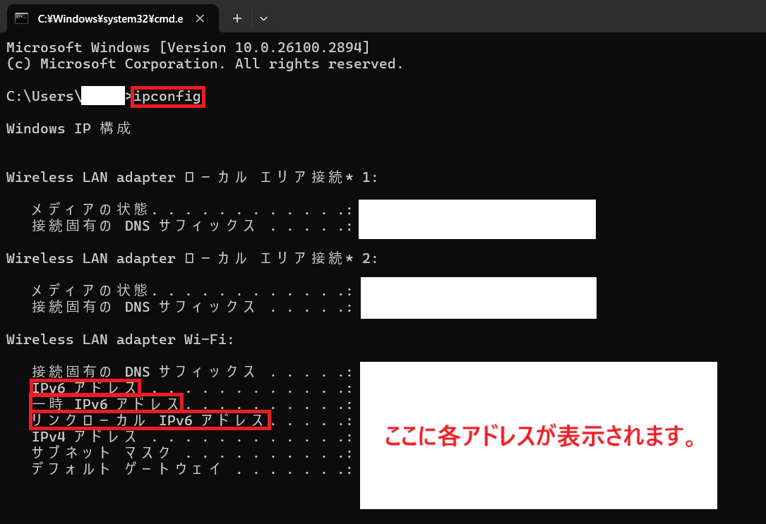 cmd IP確認画面
